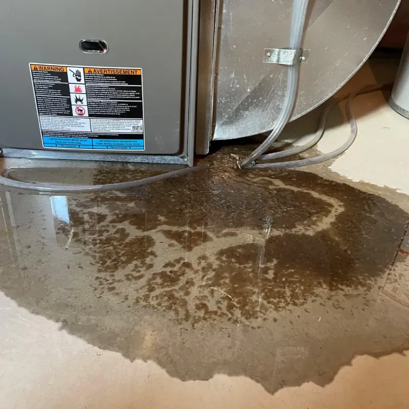 Appliance Leak Cleanup in Elizabethton, TN